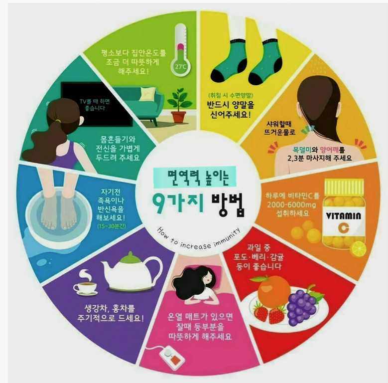 면역력 높이는 9가지 방법을 원형 차트로 설명한 인포그래픽. 각 섹션에는 집안 온도를 따뜻하게 유지하기, 양말 신기, 따뜻한 물로 샤워하기, 목과 어깨 마사지, 비타민C 섭취, 포도·베리·감귤 등 과일 먹기, 온열 매트 사용하기, 생강차·홍차 마시기, 족욕이나 반신욕 하기 등 면역력 증진법이 그림과 함께 소개되어 있다.