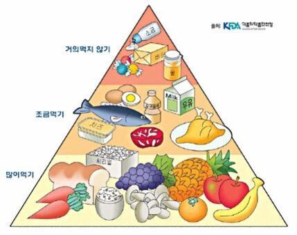 한국영양학회에서 제공한 식품 피라미드 그림. 하단에는 과일, 채소, 곡류 등 많이 먹기 권장 식품이 있고, 중간에는 생선, 달걀, 우유 등 조금 먹기 권장 식품이 있다. 상단에는 소금과 기름 등의 거의 먹지 말아야 할 식품이 그려져 있다.
