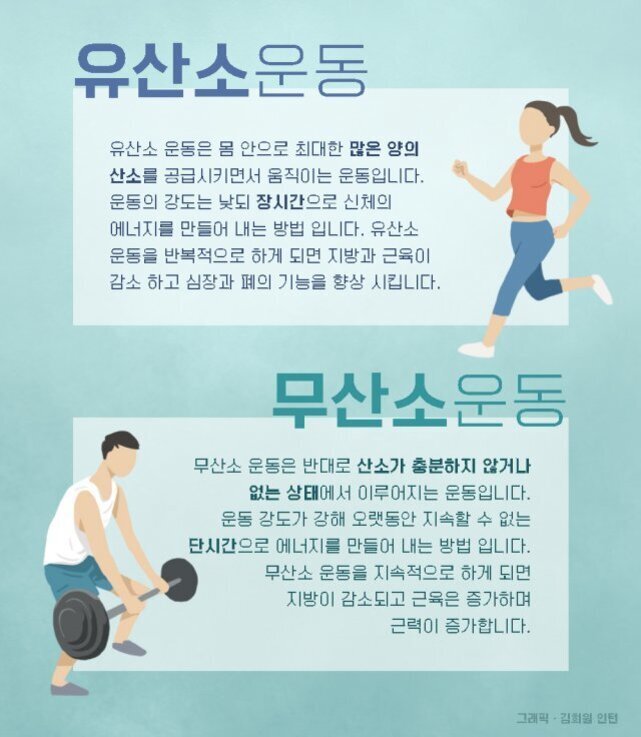 유산소운동과 무산소운동의 차이점을 설명하는 인포그래픽. 유산소운동은 산소를 충분히 공급받으며 장시간 낮은 강도로 하는 운동(예: 걷기), 무산소운동은 산소가 부족한 상태에서 단시간 높은 강도로 하는 운동(예: 역도)을 그림과 함께 설명함.