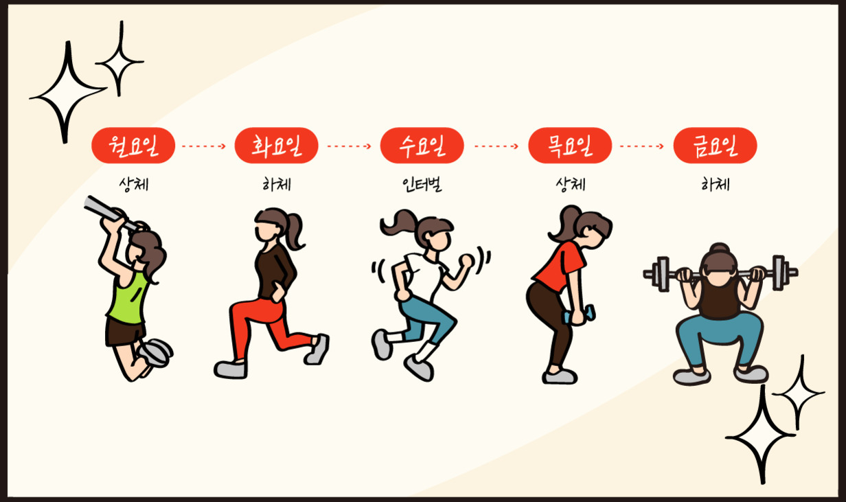 월요일부터 금요일까지의 운동 루틴을 상체, 하체, 인터벌로 나누어 설명하는 일러스트. 각 요일마다 다른 운동 자세를 취하는 여성 캐릭터들이 그려져 있다.