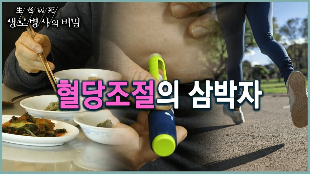 한 사람이 식사를 하거나 음식을 먹는 모습, 복부에 주사를 놓는 장면, 그리고 운동화 차림으로 달리는 사람의 다리 모습이 합성되어 있으며, 중앙에는 '혈당조절의 삼박자'라는 문구가 있다. 상단에는 '생로병사의 비밀'이라는 프로그램명이 적혀있다.