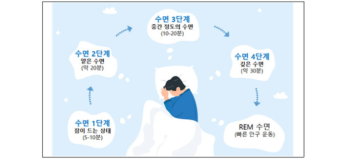 한 남성이 침대에 누워 자고 있으며, 주위에 수면 단계(1단계: 잠이 드는 상태, 2단계: 얕은 수면, 3단계: 중간 정도의 수면, 4단계: 깊은 수면)와 REM수면(빠른 안구 운동)이 시간과 함께 순서대로 설명되어 있다.