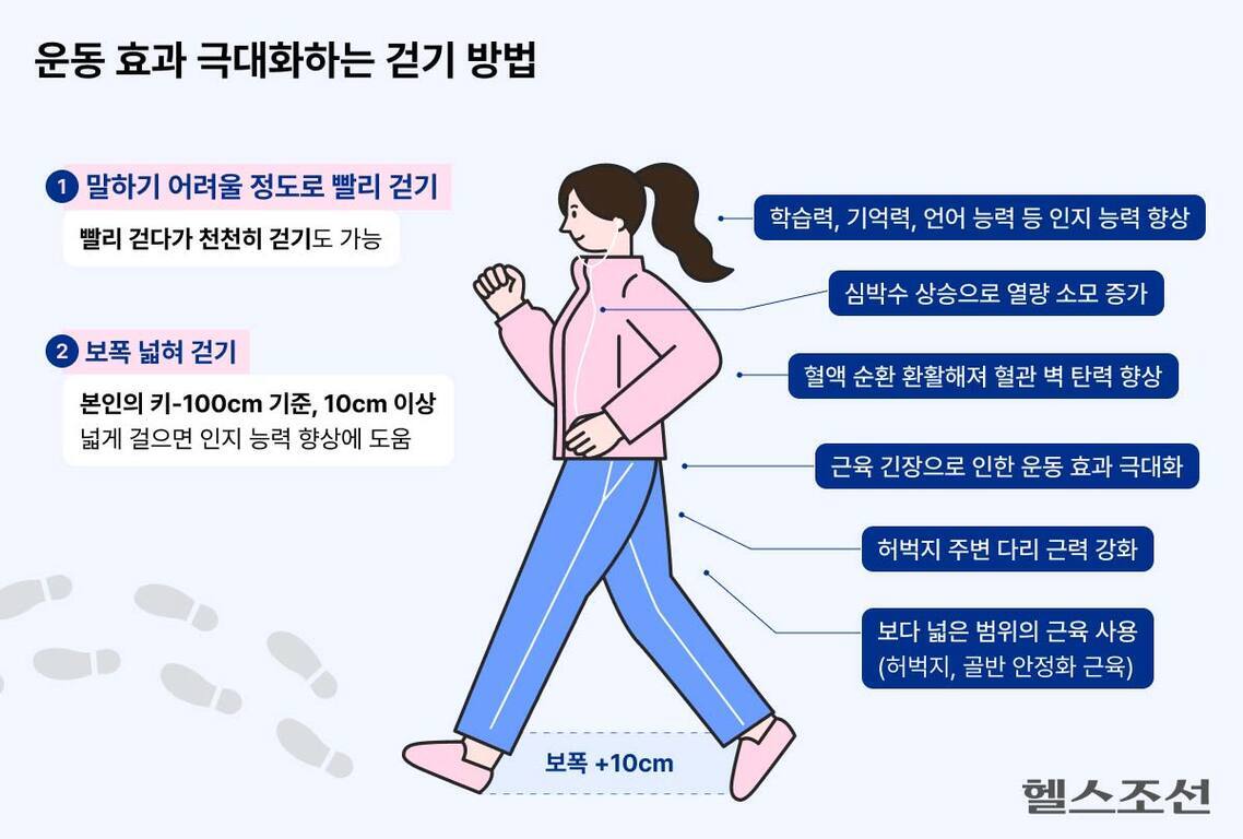 운동 효과를 극대화하는 걷기 방법을 설명한 인포그래픽으로, 1. 말하기 어려울 정도로 빨리 걷기, 2. 보폭 넓혀 걷기를 제시하며, 각 방법의 효과(인지 능력 향상, 열량 소모 증가, 혈관 건강 개선, 근육 강화 등)를 그림과 함께 나타냄.