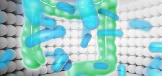 image 3e6633a9 9531 4c39 88b7 084e6a434c9b