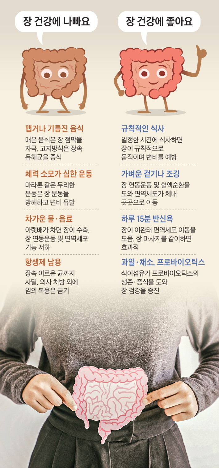 장 건강에 나쁜 습관(맵거나 기름진 음식, 심한 운동, 차가운 물·음료, 항생제 남용)과 좋은 습관(규칙적인 식사, 가벼운 걷기나 조깅, 하루 15분 반신욕, 과일·채소·프로바이오틱스 섭취)을 만화 장기 그림과 함께 설명하는 인포그래픽. 한 여성이 배에 대장 그림을 들고 있다.