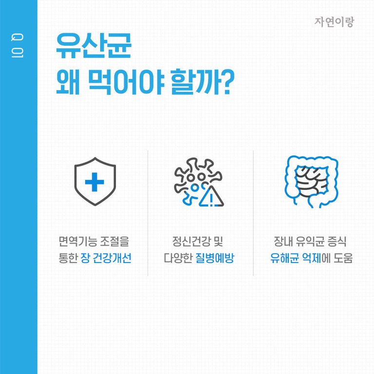 유산균 왜 먹어야 할까? 면역기능 조절을 통한 장 건강개선, 정신건강 및 다양한 질병예방, 장내 유익균 증식과 유해균 억제에 도움이 된다는 내용의 인포그래픽 이미지.