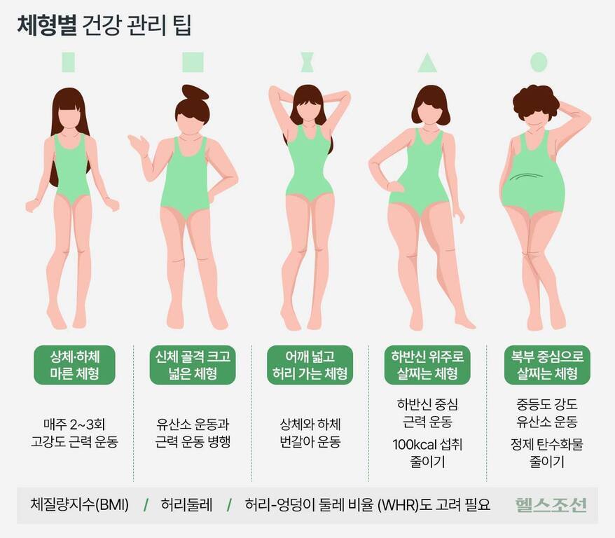 다양한 체형별 건강 관리 팁을 설명하는 인포그래픽 이미지로, 각 체형에 맞는 운동 및 식이 요법 추천과 함께 5가지 여성 체형(상체·하체 마른, 신체 골격 크고 넓은, 어깨 넓고 허리 가는, 하반신 위주로 살찌는, 복부 중심으로 살찌는)이 일러스트로 표현되어 있다.