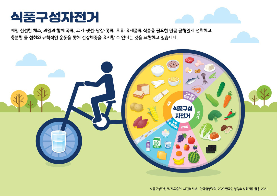 식품구성자전거를 설명하는 인포그래픽 이미지로, 자전거 바퀴에 곡류, 채소류, 과일류, 고기·생선·달걀·콩류, 우유 및 유제품 등 다양한 식품군이 균형 있게 배치되어 있으며 앞바퀴에는 물 한 잔이 그려져 있다. 건강한 식생활과 규칙적인 운동의 중요성을 강조한다.