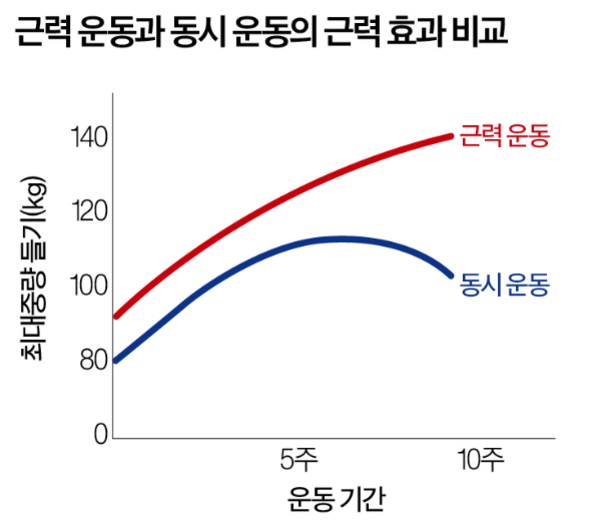 근력 운동과 동시 운동의 근력 효과를 비교한 그래프. x축은 운동 기간(5주, 10주), y축은 최대중량 들기(kg)이며, 근력 운동이 동시 운동보다 더 높은 수치를 보임.
