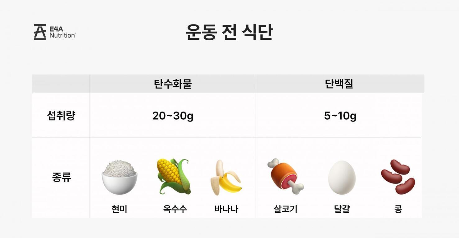 운동 전 식단에 대한 표로, 탄수화물(현미, 옥수수, 바나나) 20~30g과 단백질(살코기, 달걀, 콩) 5~10g을 섭취할 것을 안내한다.