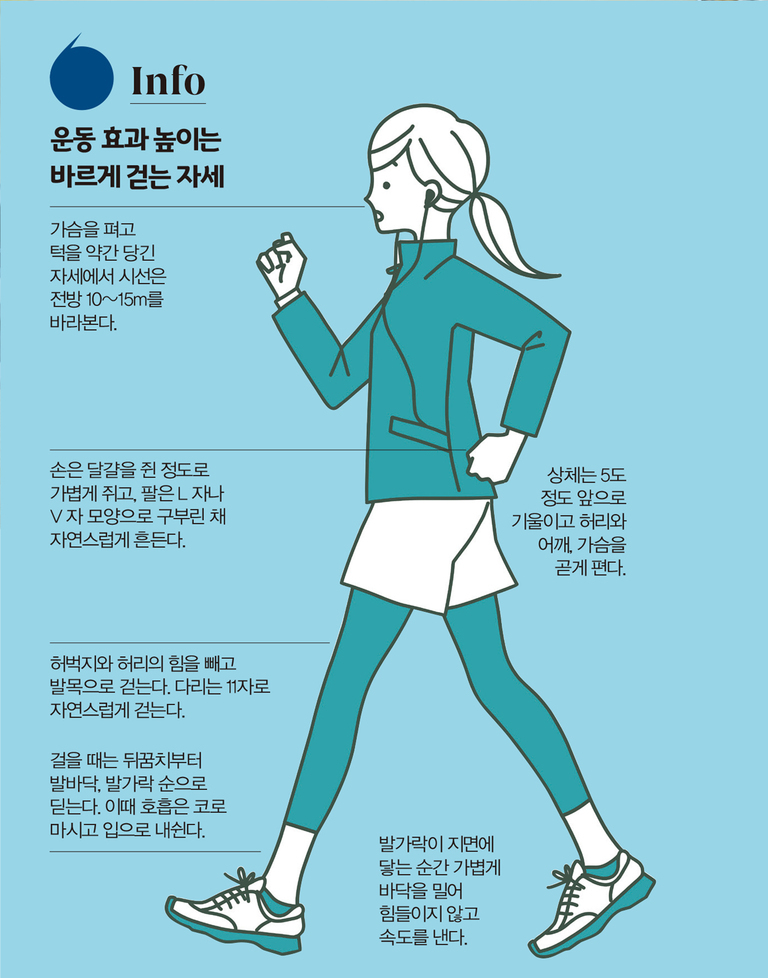 운동 효과를 높이는 바르게 걷는 자세를 설명하는 인포그래픽 이미지. 여성이 운동복 차림으로 팔을 굽히고, 허리를 펴고 걷는 모습이 그려져 있다. 주변에는 시선, 손 모양, 팔 각도, 상체 기울기 등 올바른 걷기 자세에 대한 설명이 한글로 적혀 있다.