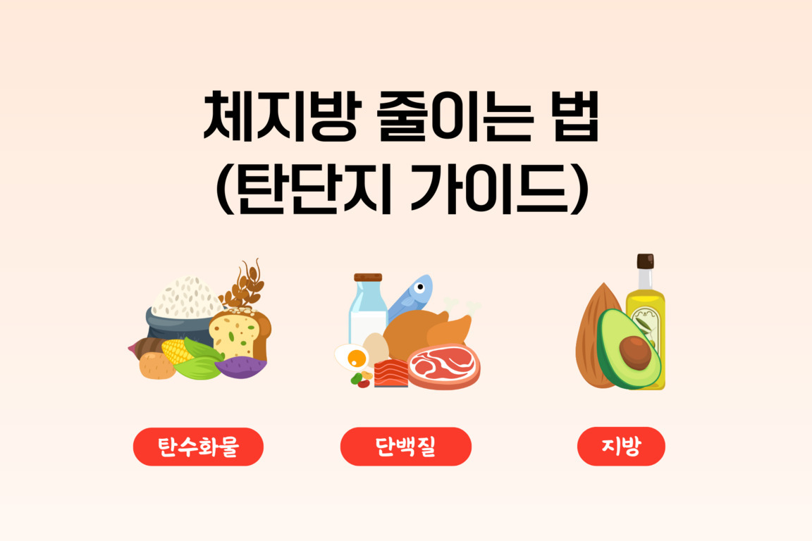 체지방 줄이는 법(탄단지 가이드)라는 제목과 함께, 탄수화물, 단백질, 지방을 각각 상징하는 음식 그림과 텍스트가 표시된 이미지