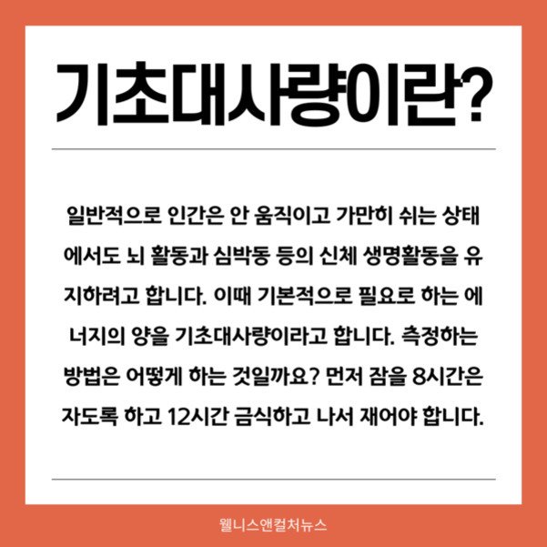 '기초대사량이란?'이라는 제목과 함께 기초대사량의 정의, 중요성, 그리고 측정 방법을 설명하는 한국어 안내문 이미지. 하단에 '웰니스앤컬처뉴스' 출처가 적혀 있다.