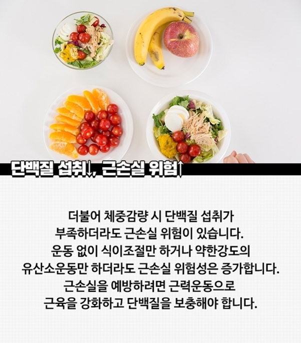 과일과 샐러드가 담긴 접시 네 개가 놓여 있고, 아래에는 '단백질 섭취, 근손실 위험'이라는 제목과 함께 단백질 부족 시 근손실 위험에 대한 설명이 적혀 있다.