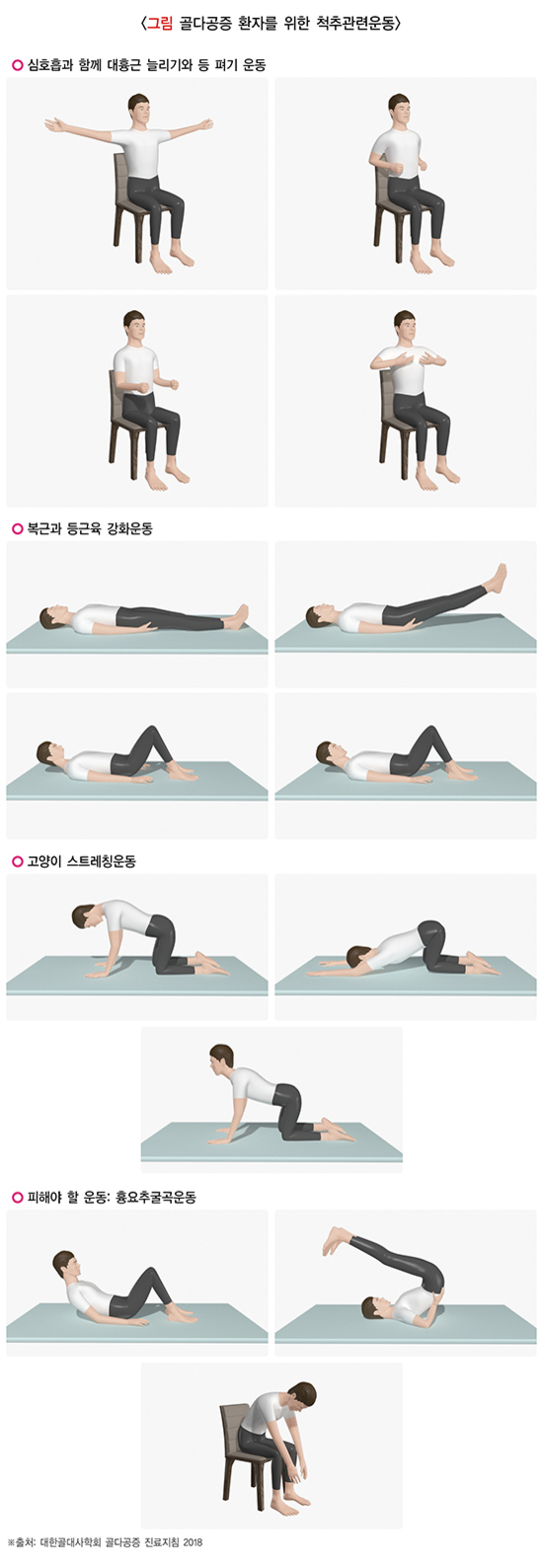 골다공증 환자를 위한 척추 관련 운동을 설명하는 이미지로, 의자에 앉아 팔을 벌리거나 가슴 앞으로 모으는 등 퍼기 운동, 바닥에 누워 다리를 들어올리는 복근 및 등근육 강화운동, 네발 자세에서 스트레칭하는 고양이 스트레칭운동, 피해야 할 운동으로 허리를 과도하게 굽히는 동작이 포함되어 있음.