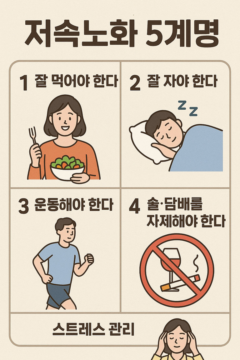 저속노화 5계명: 1. 잘 먹어야 한다(여성이 샐러드를 들고 있음), 2. 잘 자야 한다(남성이 잠을 자는 모습), 3. 운동해야 한다(남성이 달리는 모습), 4. 술·담배를 자제해야 한다(술잔과 담배에 금지 표시), 스트레스 관리(여성이 머리를 감싸며 스트레스를 관리하는 포즈).