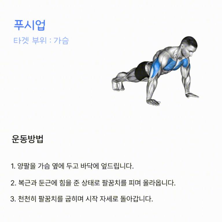 푸시업 운동 동작을 하는 남성의 일러스트와 함께, 푸시업의 타겟 부위(가슴)와 운동방법이 한글로 안내되어 있다. 팔, 가슴 등 사용 근육에 색상이 표시되어 있다.