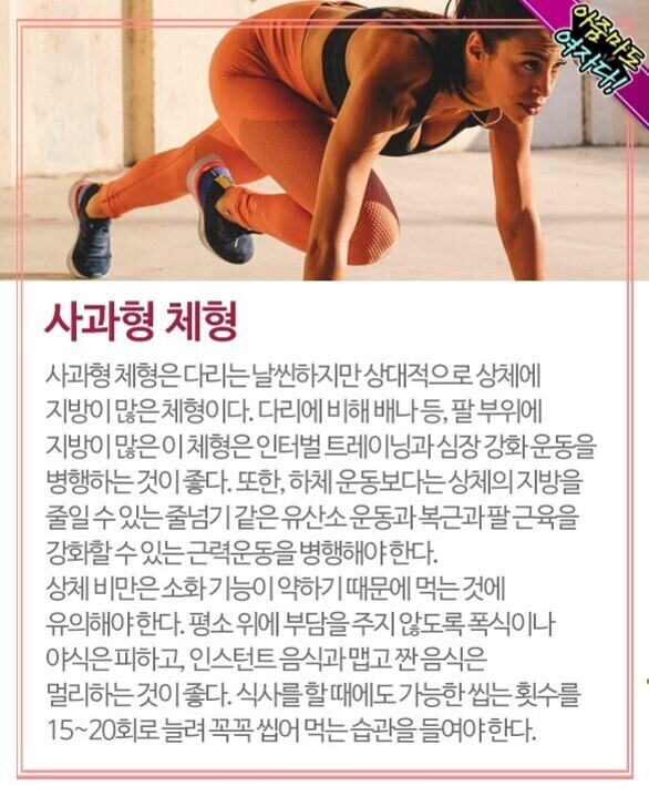 운동복을 입고 바닥에 손과 발을 대고 준비 자세를 취한 여성의 사진과 함께, 사과형 체형에 대한 설명이 적혀 있다. 사과형 체형은 상체에 지방이 많고 다리는 날씬한 것이 특징이며, 인터벌 트레이닝이나 심장 강화 운동, 줄넘기와 같은 유산소 운동 및 복근·팔 근육 강화가 추천된다는 내용이다. 식사는 천천히 꼭꼭 씹어 먹는 습관도 강조된다.