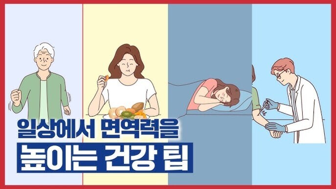 네 명의 사람이 각각 운동, 식사, 수면, 건강 검진을 하는 모습을 그린 일러스트와 '일상에서 면역력을 높이는 건강 팁'이라는 문구가 있다.